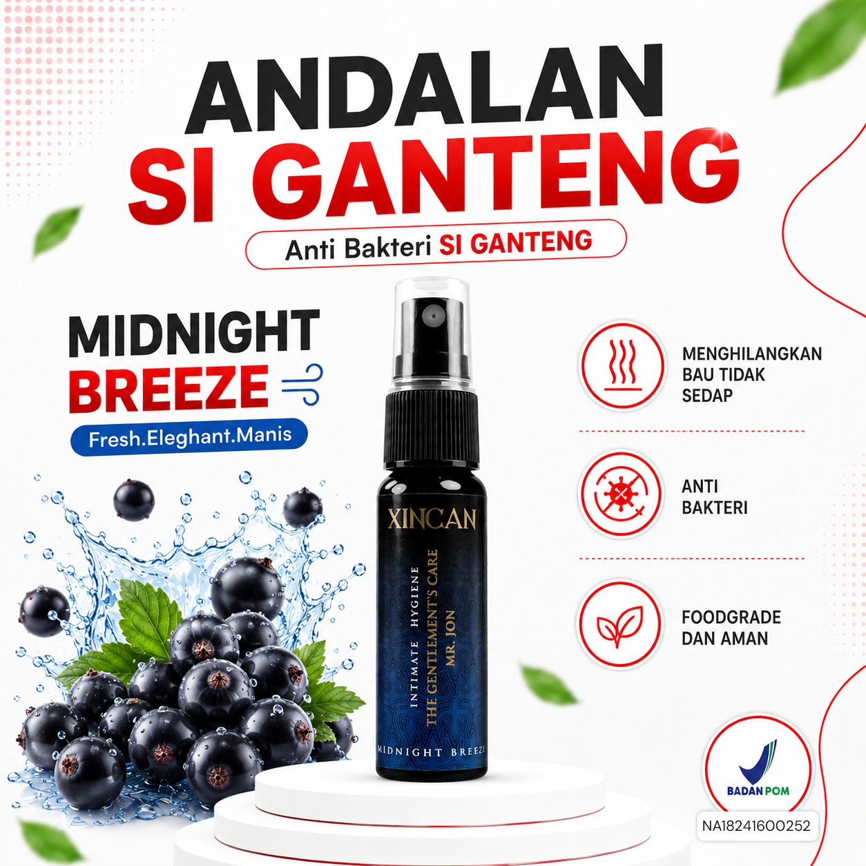 Midnight Breeze